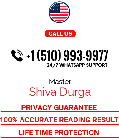 Indian Astrologer in USA 