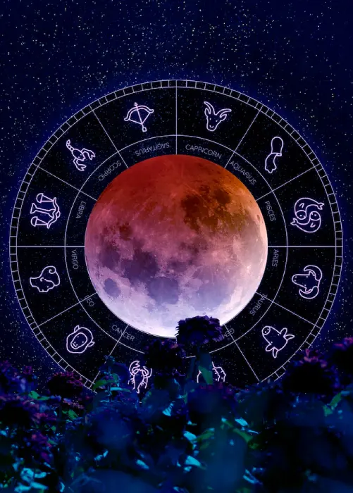 best-astrologer-in-saratoga


